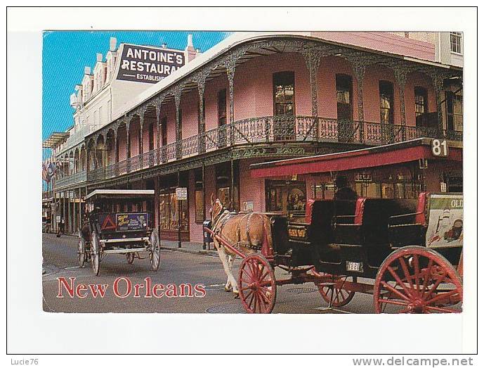 NEW ORLEANS  - ANTOINE'S  Restaurant  - GRC  540 - New Orleans