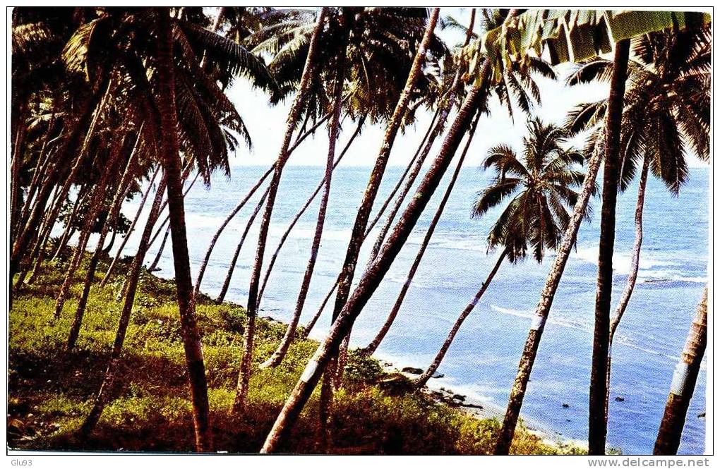 CPM - Tahiti - Cocoteraie Et Lagon - Tahiti