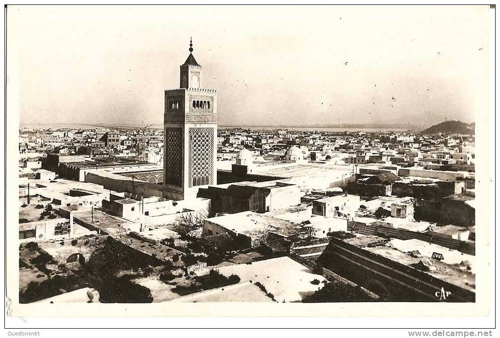 Tunisie , Vue Gnale De Tunis. Cpsm. - Tunisie