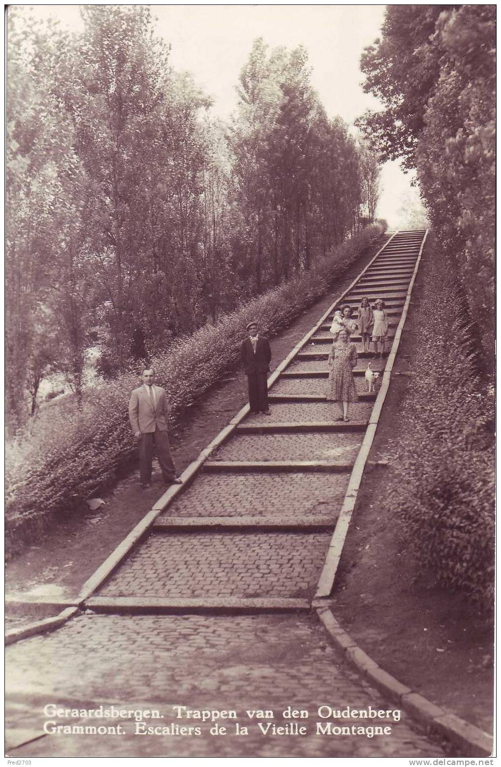 GRAMMONT - Escaliers De La Vielle Montagne - Carte-photo - Geraardsbergen