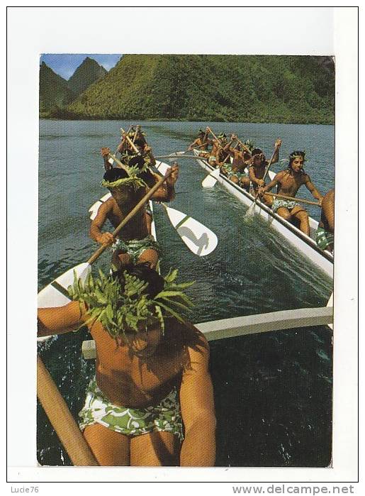 TAHITI -   Grande Pirogue De Course  (16 Hommes) De  TAUTIRA  - N° 208 - Polynésie Française