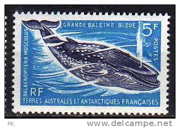 TAAF N° 22 Luxe ** - Unused Stamps