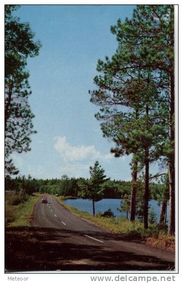 Scenic Drive In Minnesota Vacationland - Other & Unclassified
