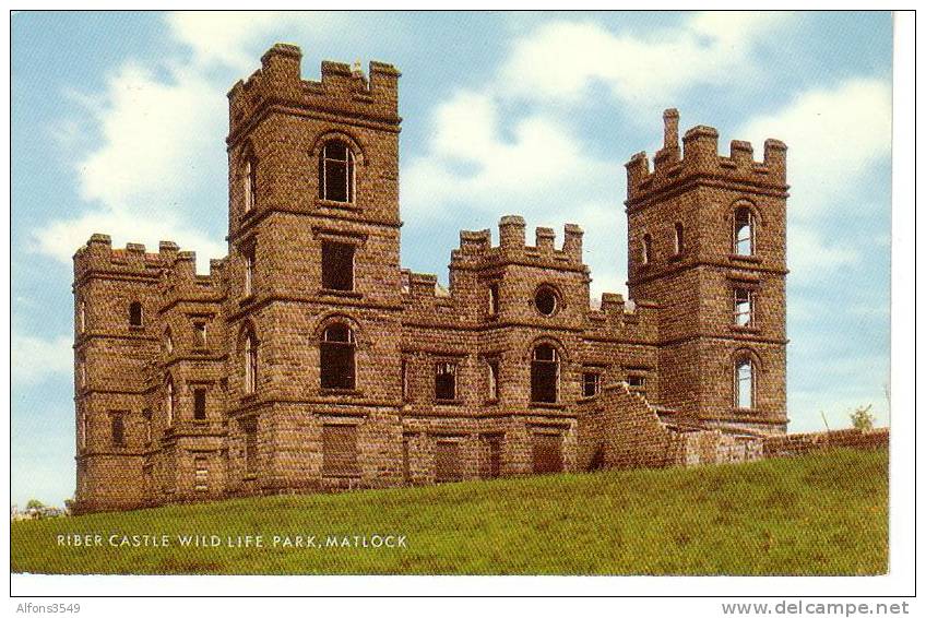 Riber Castle Wild Life Park Malock - Derbyshire