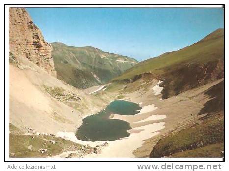 36147)cartolina Illustratoria Lago Di Pilato - Panorama - Nuova - Ascoli Piceno