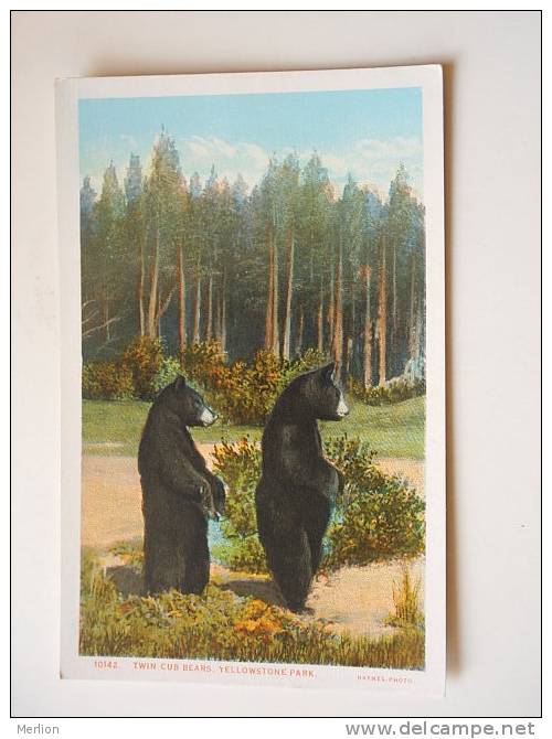US -WY- Yellowstone Park -Twin Cub Bears - Black Bear -  Ca  1910-20's - VF  -  D64627 - Yellowstone