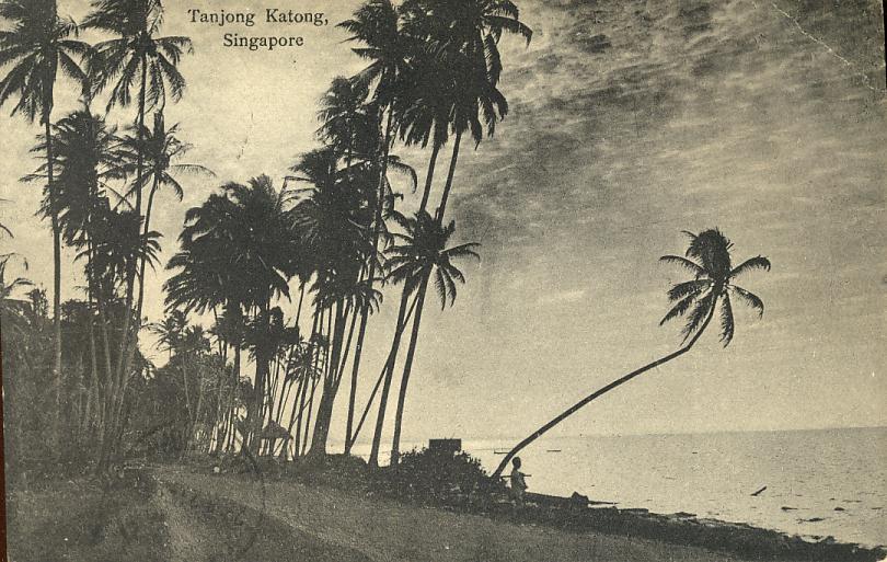 Singapour - Singaporte - Tanjong Katong - Beaux Cachets Malaysia Kuala Lumpur 1925 - Singapore