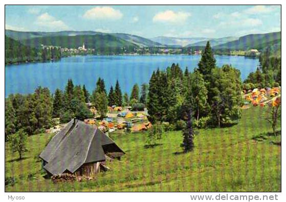 Hochschwarzwald Titisee Seehausle 846m, Terrain De Camping - St. Blasien