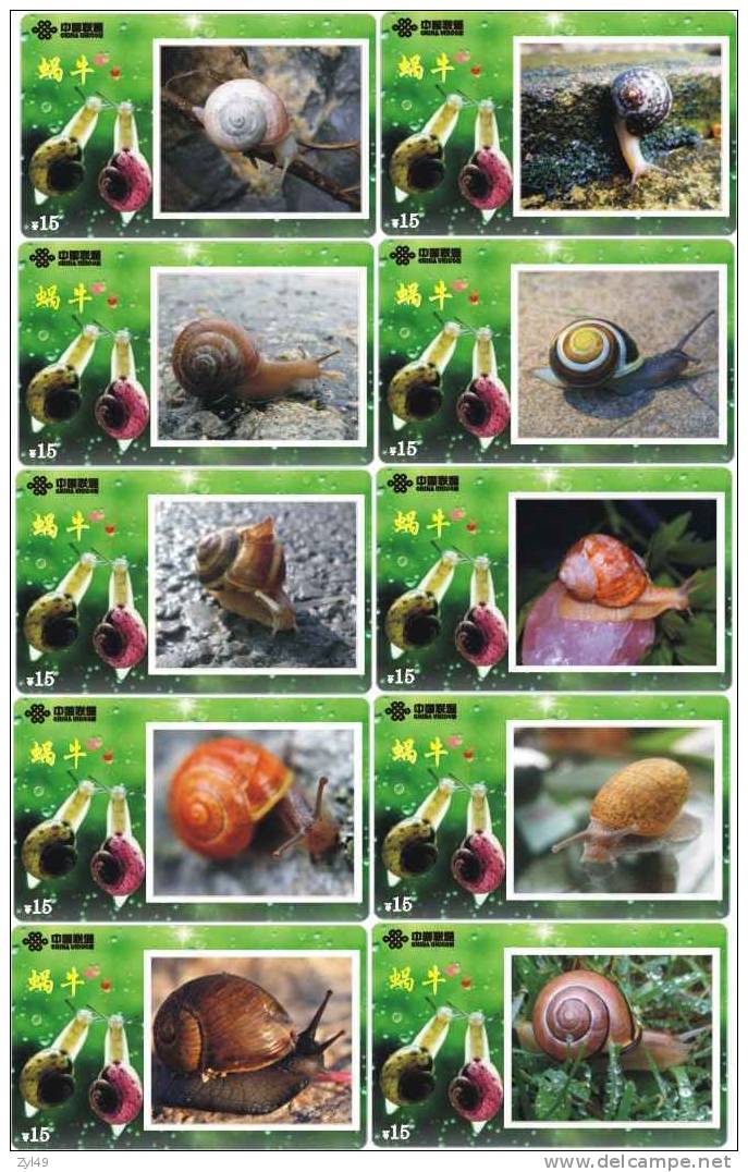 A02270 China Snail 10pcs - Autres & Non Classés