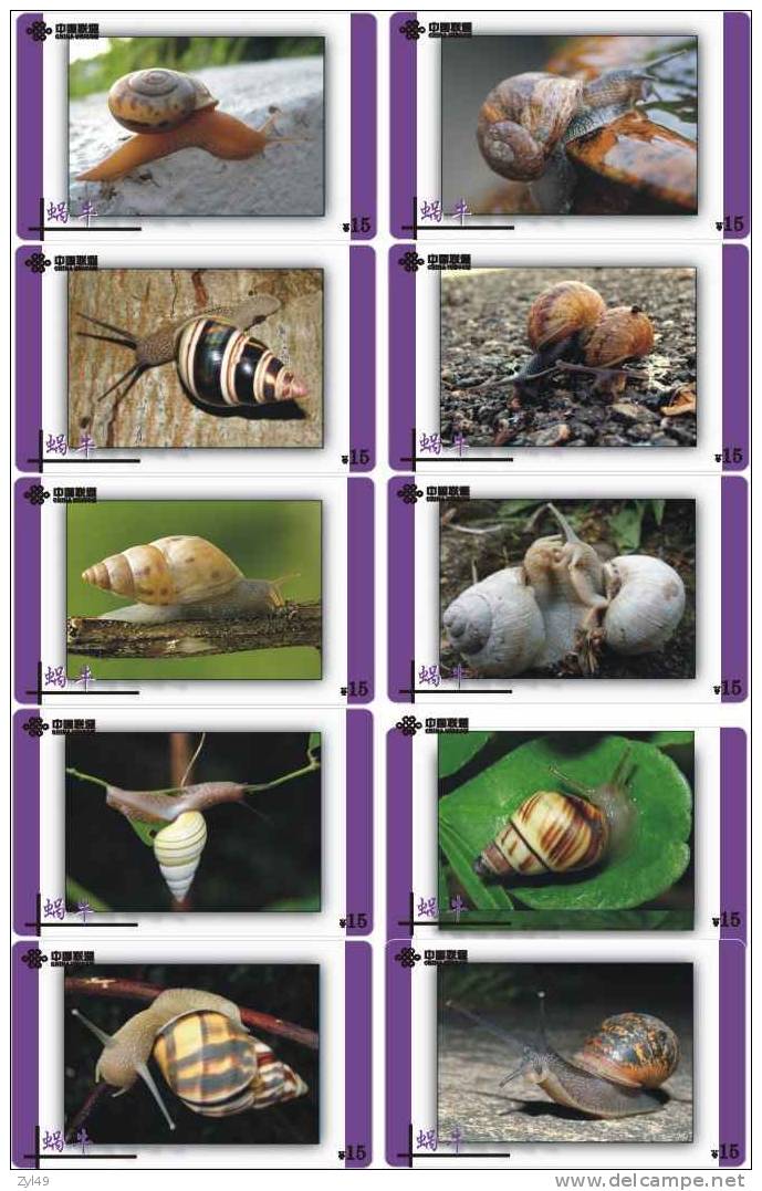 A02274 China Snail 10pcs - Autres & Non Classés