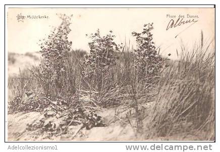 36435)cartolina Illustratoria Località Di Middelkerke - Flores Des Dunes - Middelkerke