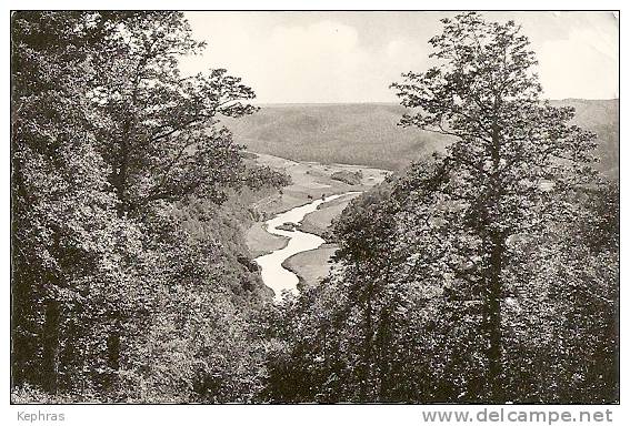 ROCHEHAUT : Vallée De La Semois En Amont De Frahan - RARE CPSM - Edit. : Simal-Aubert, Rochehaut - Cachet Poste 1960 - Bouillon