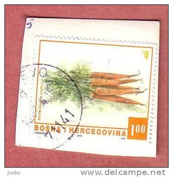 CARROT  ( Bosnia Stamp On Paper ) Carotte Zanahoria Carota Mohre Carrots Carottes Vegetables Legumes Hortalizas - Groenten