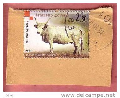 ISTRIAN OX Croatian Autochthonous Breeds (Croatie Stamp On Paper) Cattle Cow Cows Vache Vaches Kuhe Vacuno Buey Bue Boi - Cows