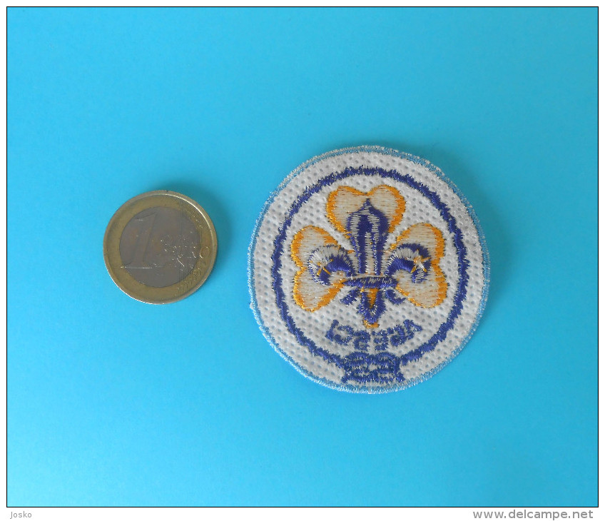 AGESCI  Associazione Guide E Scouts Cattolici Italiani - Italy Patch * Scouting Boy Scout Scoutisme Pfadfinder Scoutismo - Scoutisme