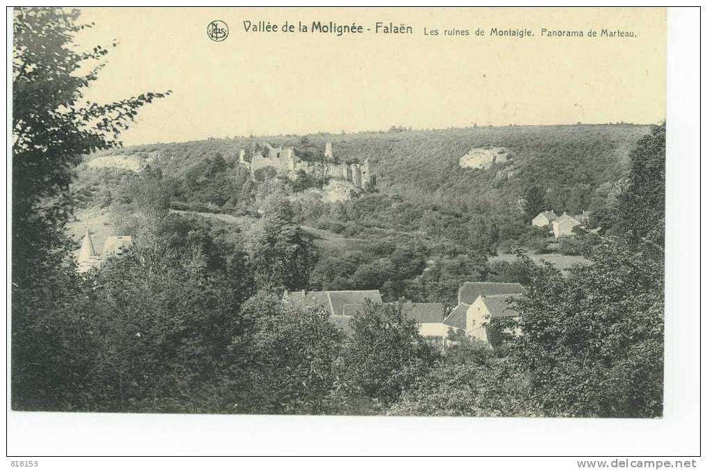 Vallée De La Molignée - Falaën - Les Ruines De Montaigle. Panorama De Mareau - Onhaye