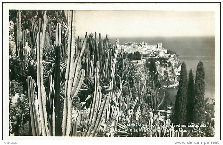 MONACO - Les Jardins Exotiques - Vue Sur Le Rocher De Monaco (La Cigogne, N° 1435) - Autres & Non Classés