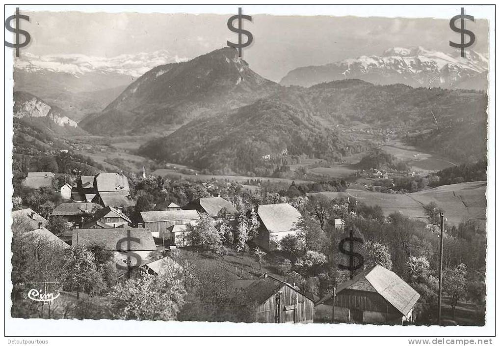 MIEUSSY Haute Savoie 74 : Village De Messy Chaîne Du Mont Blanc Mont Orchez Et Pointe Percée 1952 - Mieussy