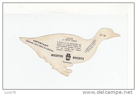 BISCOTTES  - BISCUITS  PARE - Série OISEAUX -   EIDER A TETE GRISE  - N°   42    - Image En Forme De L´animal - Tiere