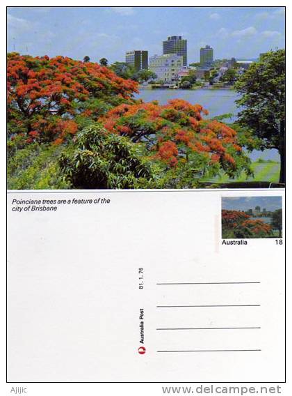 Australie. Poinciana. Ville De Brisbane.  Un Entier Postal - Entiers Postaux