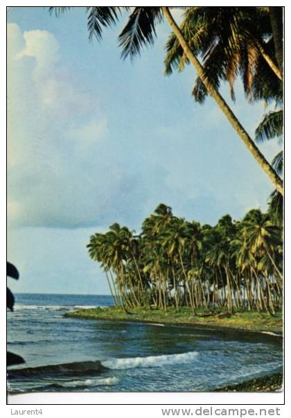 (210) - French Polynesian Island Beach - Polynésie Française