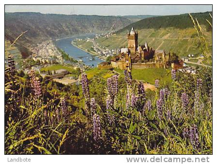 Cochem An Der Mosel - Burg Cochem Mit Blick Ins Moseltal - Cochem