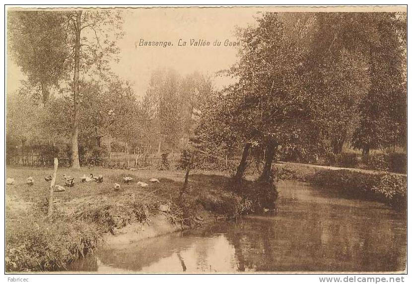 Bassenge - La Vallée Du Geer - Bassenge