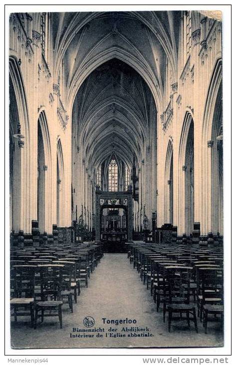 Tongerloo - Intérieur De L'Eglise Abbatiale - Binnenzicht Der Abdijkerk - Westerlo