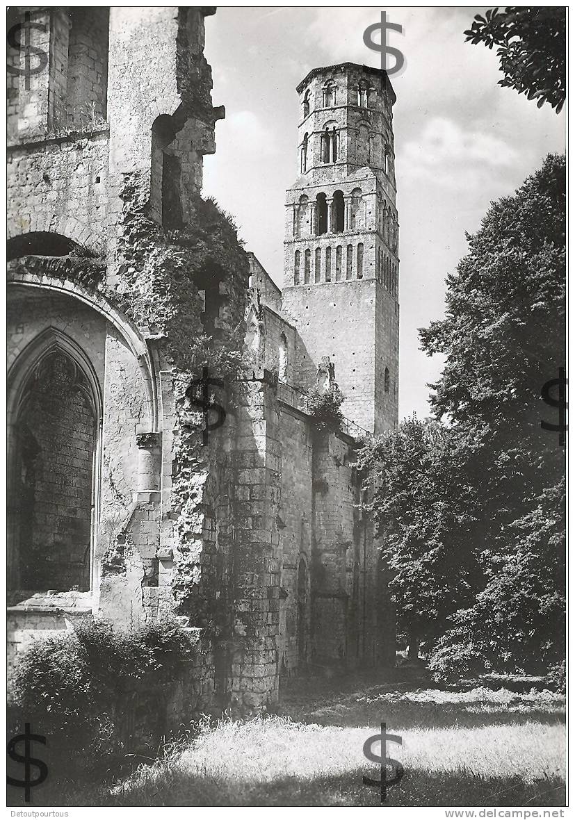 JUMIEGES Seine Inférieure ( Maritime ) 76 : Ruine De L'Abbaye Eglise Notre Dame Tour Sud Vue De L'est 1957 - Jumieges