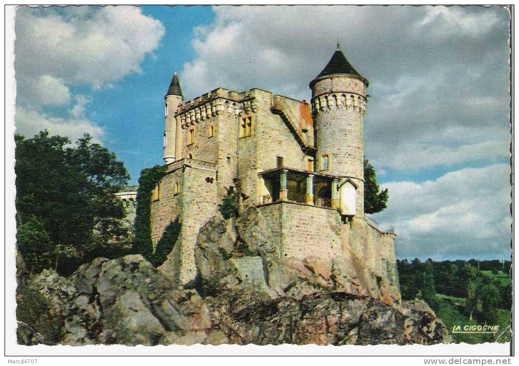 Chateau De La Roche 42 Environs De Roanne Editions La Cigogne Carte Dentelée Véritable Photo - Montbrison