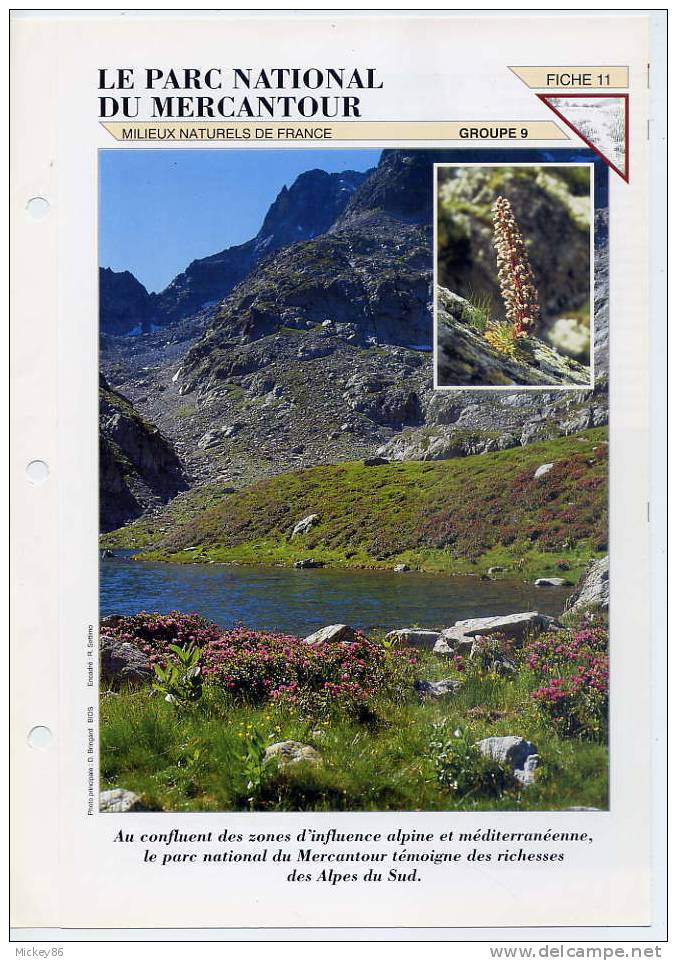 1992--Le Parc National Du Mercantour  --Faune  Et Flore--Double Fiche--"Milieux Naturels De France - Geografía