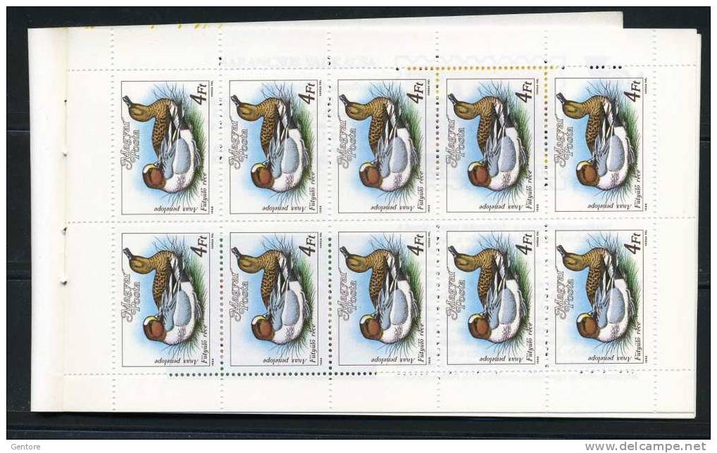 HUNGARY 1988 Carnet 6 Pages (Hungarian And English ) With 2 Blocks Of 10 Yvert Cat 3173-74 Perfect Condition - Ducks