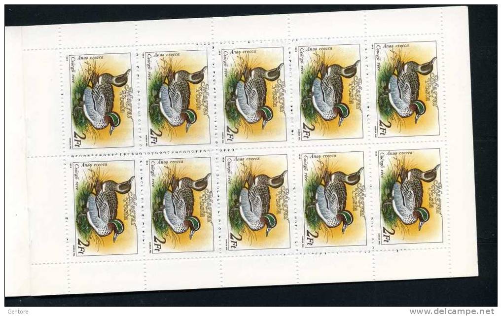 HUNGARY 1988 Carnet 6 Pages (Hungarian And German ) With 2 Blocks Of 10 Yvert Cat 3173-74 Perfect Condition - Entenvögel