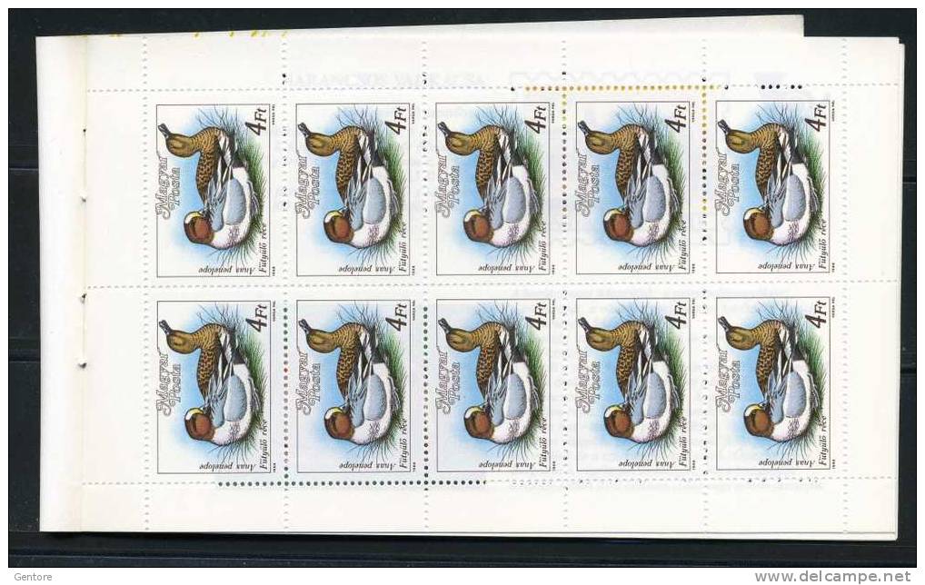 HUNGARY 1988 Carnet 6 Pages (Hungarian And German ) With 2 Blocks Of 10 Yvert Cat 3173-74 Perfect Condition - Ducks