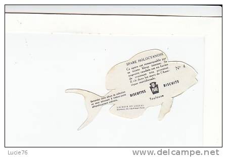 BISCOTTES  - BISCUITS  PARE - SERIE  POISSONS -  SPARE HOLOCYANOSE    - N° 4 -  Image En Forme De L´animal - Dieren