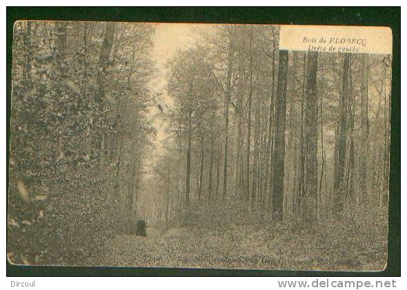 14023  -   Bois  De Flobecq  Drève  De Gauche - Vloesberg