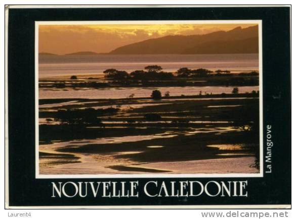(285) New Caledonia - Sunset - Nueva Caledonia