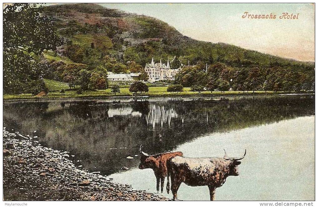 Trossachs - Peeblesshire