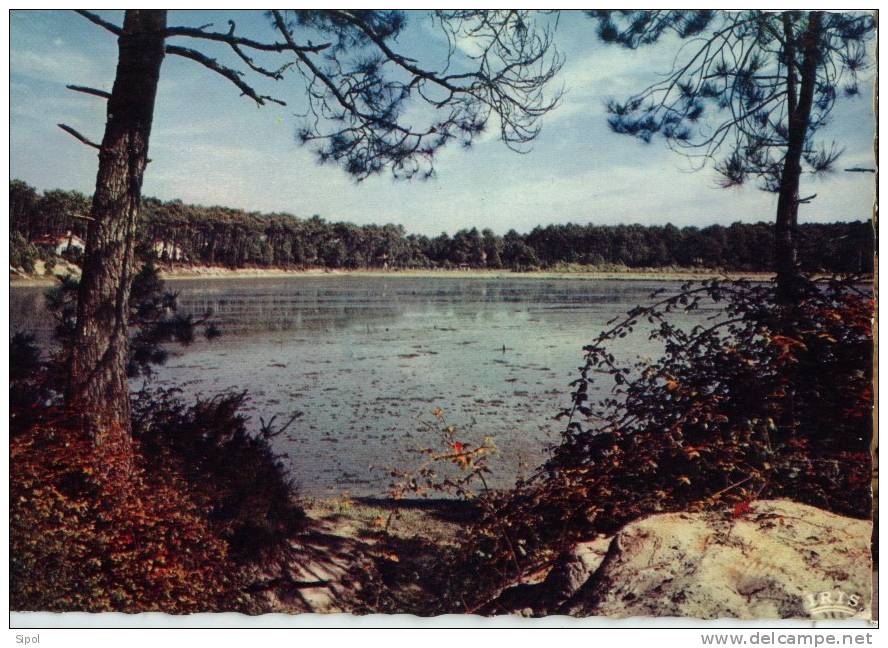 Au Pays Landais 40/105 Un Joli Lac Des Landes - Languedoc-Roussillon