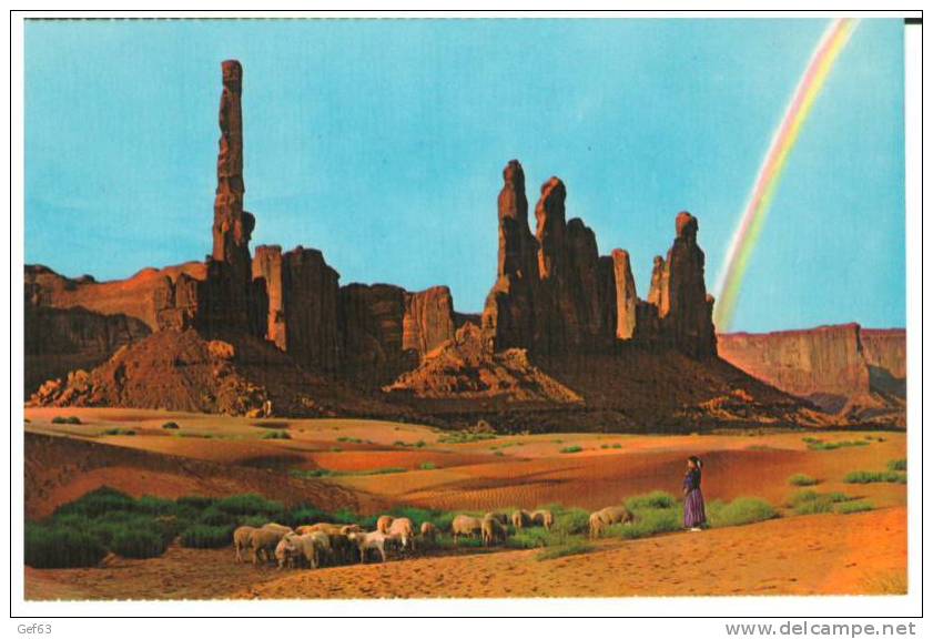 Teeding Navajo Sheep - Monument Valley, Arizona - Indianer