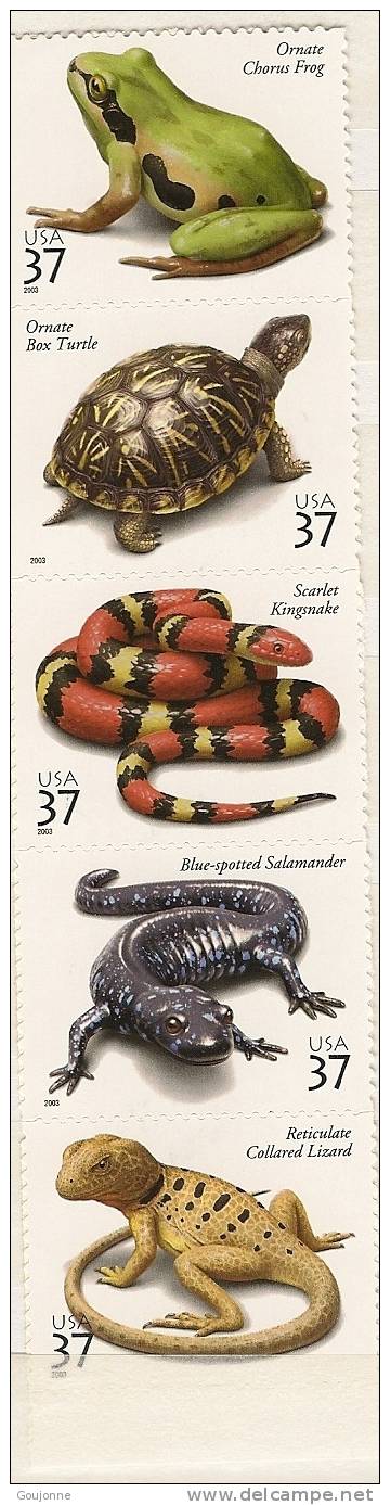 ETATS UNIS D´AMERIQUE  Faune Reptiles Et Amphibiens   3506 3510 ** - Autres & Non Classés