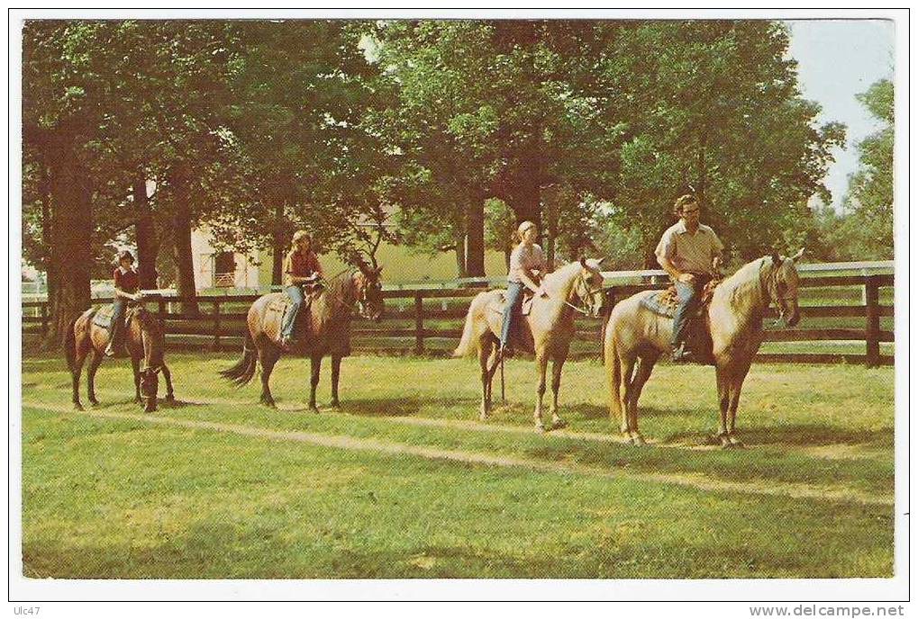 - USA. -  KENTUCKY STATE HORSE PARK.  -  Cpsm - Scan - - Autres & Non Classés