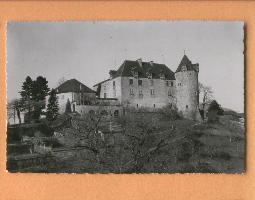 H914 Château De Gruyères. Glasson Bulle 8731 - Bulle