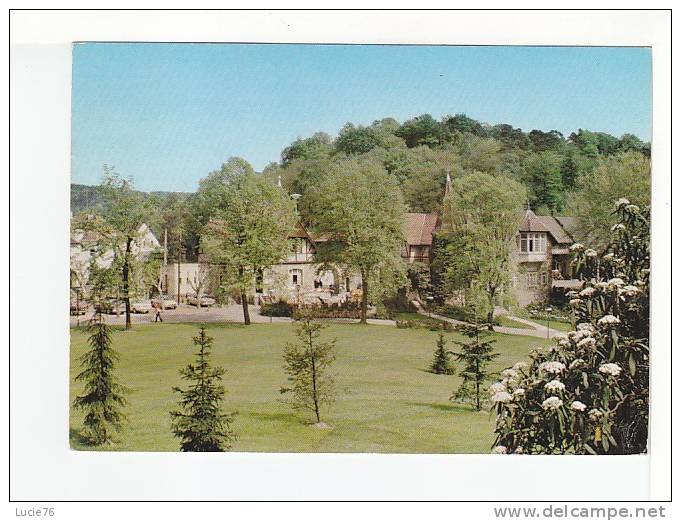 FORBACH - Le Parc De SCHLOSSBERG  - N°  8339 - Forbach