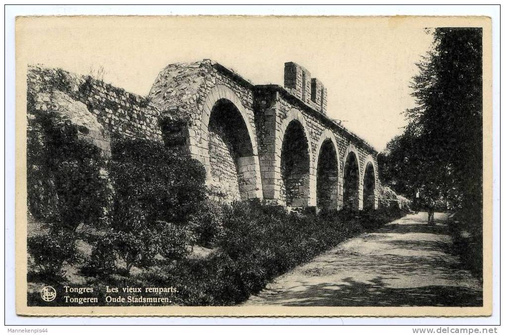 Tongeren - Tongres - Les Vieux Remparts - Oude Stadsmuren - Tongeren