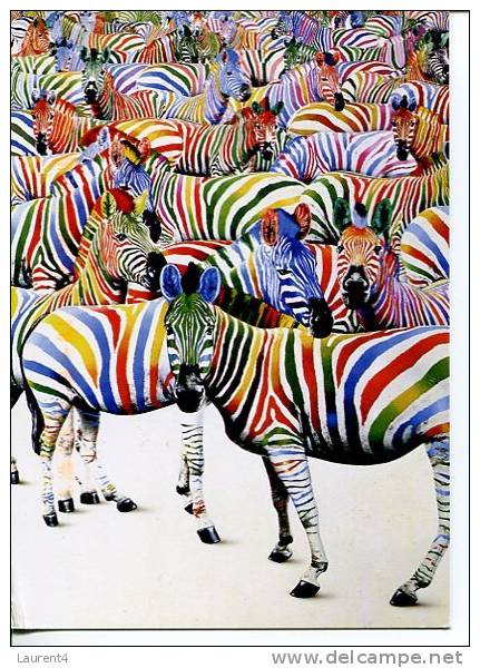 (191) Zebra Art - Zebras