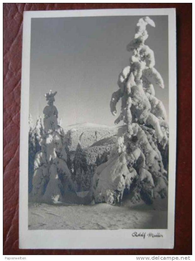 Feldberg - Winterblick - Feldberg