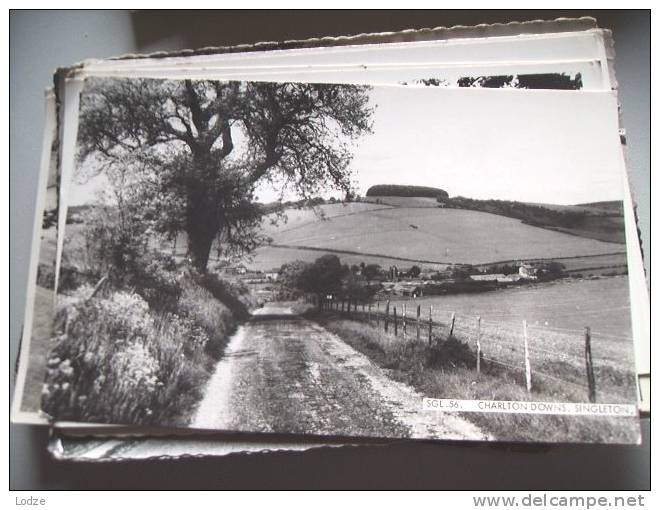 Engeland England Sussex Singleton Charlton Downs - Autres & Non Classés