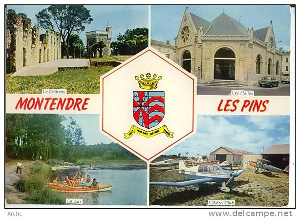 Montendre Les Pins Multi - Montendre