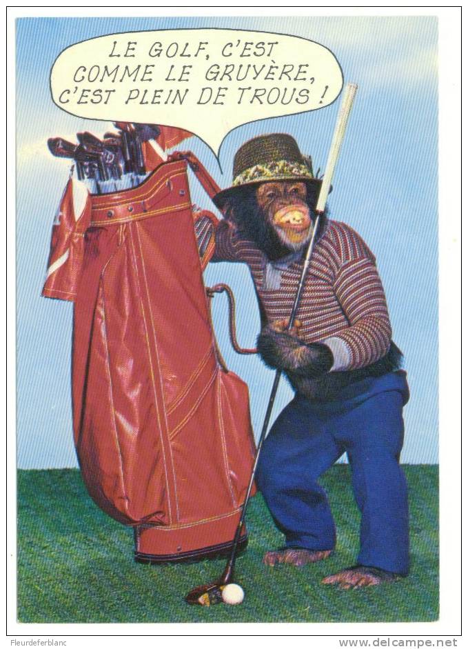 GOLF  - CPM  Humoristique - Chimpanzé "Le Golf C'est Comme Le Gruyère ..." - Golf